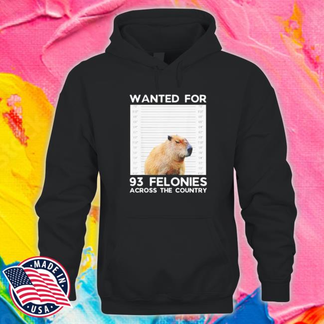 Official Capybara mugshot wanted for 93 felonies across the country Sweatshirts