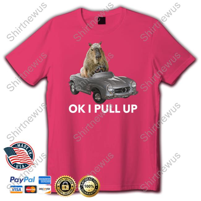 Capybaraman Capy Car Sweatshirt