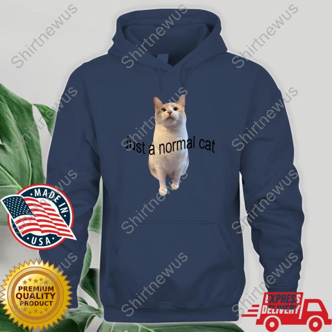Just A Normal Cat Tank Top Panko A Cat’S Mom