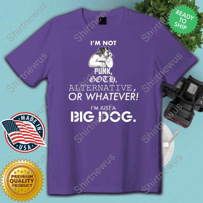 Big Dogs Merch Just A Big Dog T-Shirt I'm Not Punk Goth Alternative Or Whatever I'm Just A Big Dog Shirt Lights Camera Pod