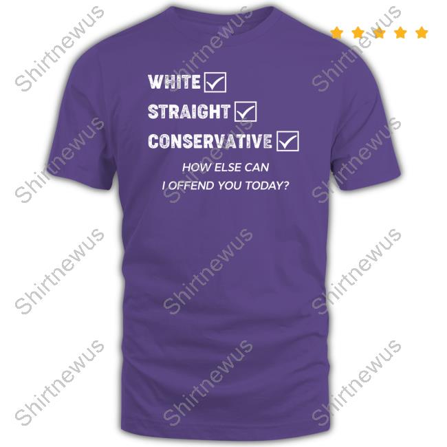 White Straight Conservative How Else Can I Offend You Today Hoodie