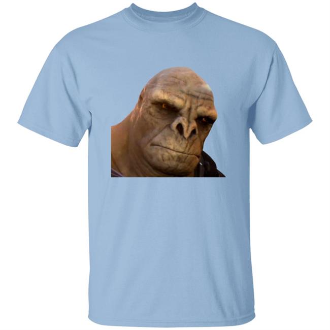 Halo Infinite Meme Tee Shirt