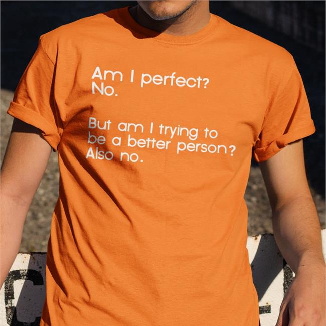 Am I Perfect No But Am I Trying To Be A Better Person Also No Hoodie