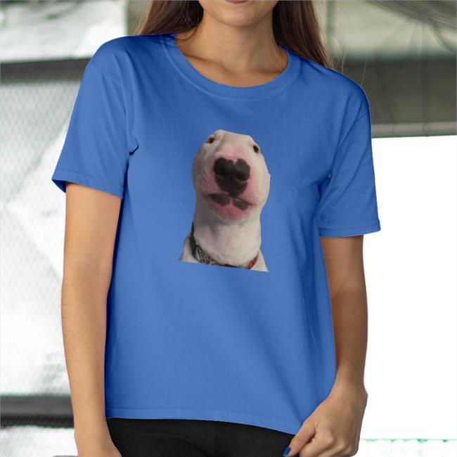Walter Meme Dog Sweatshirt Michelle