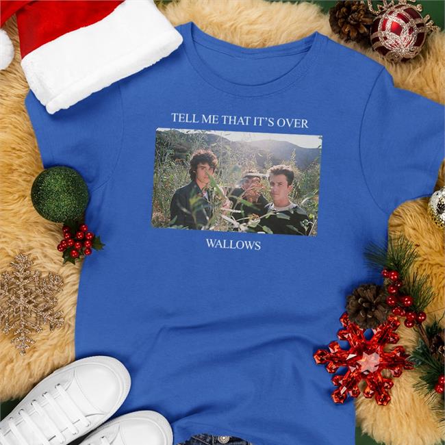 Wallows Merch Tell Me That It's Over Hoodie