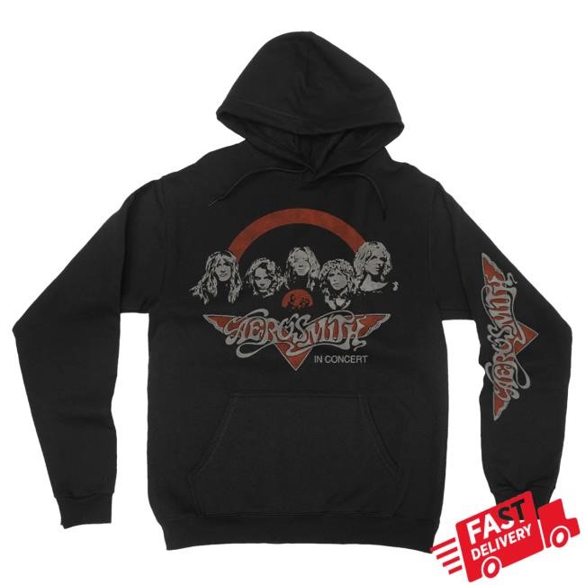 Official Aerosmith Merch Toys In Concert Popover Hoodie