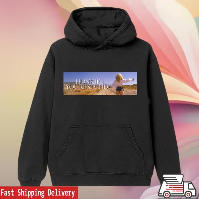 Official Sabrina Carpenter Honk If You're Stupid! Pullover Hoodie