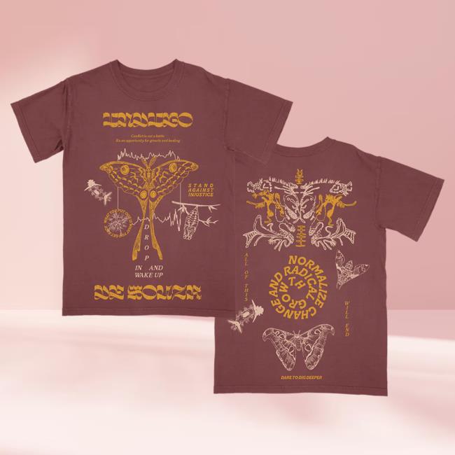 Official Hello Merch Indigo De Souza Metamorphosis Brick T-Shirts HelloMerch