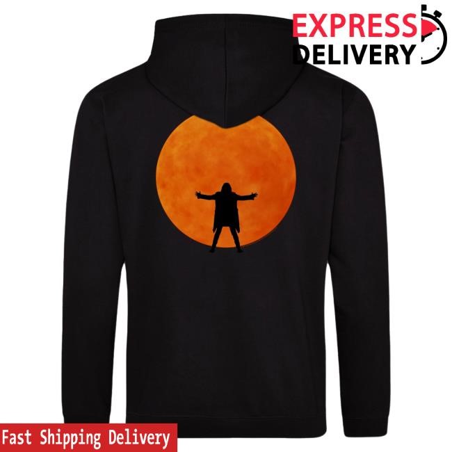 David Gilmour Luck And Strange In Concert Zip Popover Hoodie