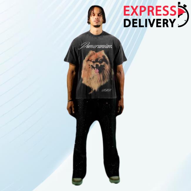 Do Not Disturb Clothing Store Shop Dnd By Ferris Pomeranian Shirt New Black